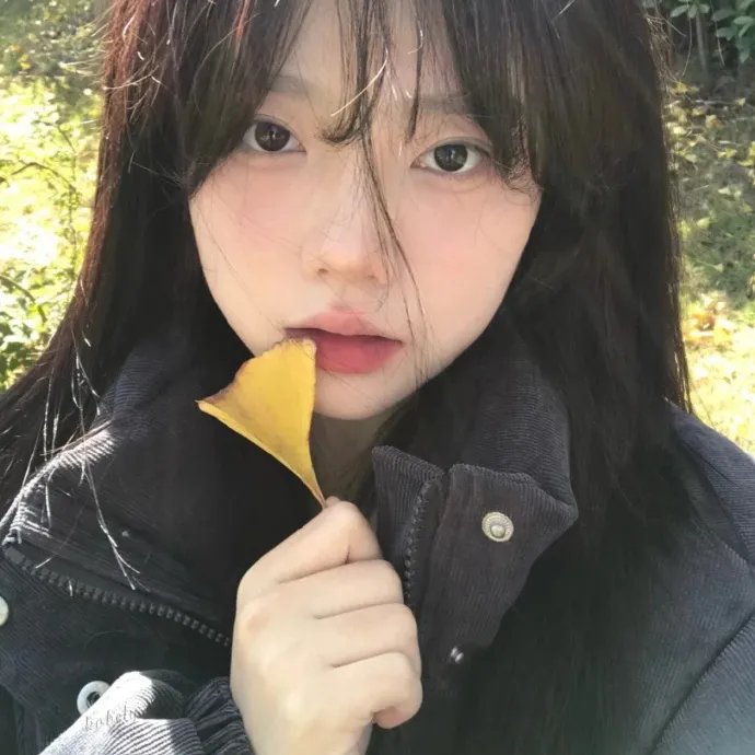 派对怪兽
